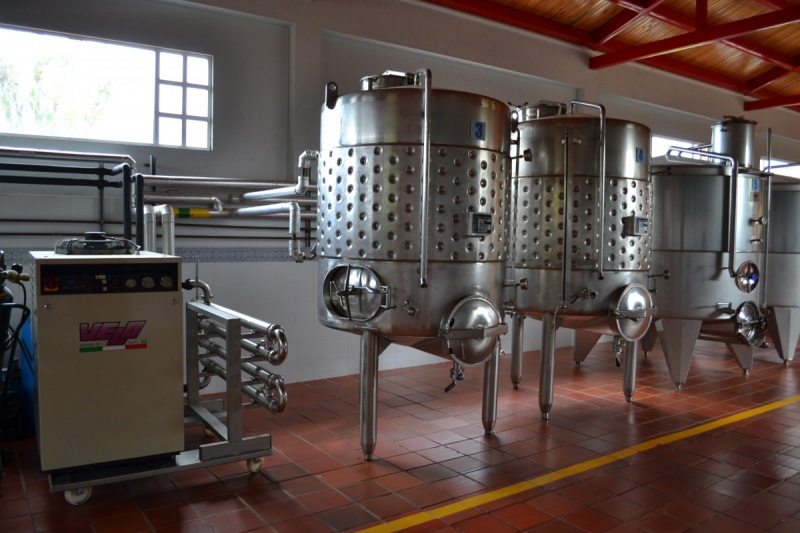 cave-SEILLANS-min_wine_production_cantine_winery_drink_alcohol_vine_beverage-902036